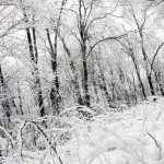 Protect Your Truck Camper this Season and Winterize